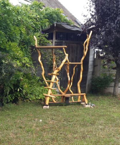 Arbre a chat